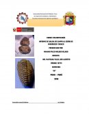 PALEONTOLOGÍA INFORME DE SALIDA DE CAMPO AL CERRO DE IMARRUCOS-TARACO