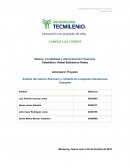 Análisis del entorno financiero y contable de la empresa internacional Caterpillar