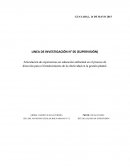 PROYECTO DE INVESTIGACION MUNICIPAL