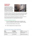 Fuego en Amazonas
