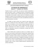 ENSAYO ECONOMIA. GENERO DE OPINIÓN