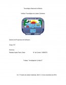 Gestión de Proyectos de Software