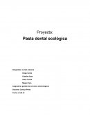 Organizacion clinica dental