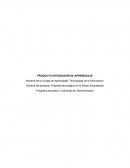 Proyecto tecnológico en el Sector Empresarial