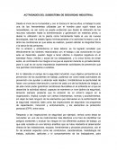 Actividades del subsistema de seguridad industrial