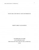 ENSAYO : EDUCACION VIRTUAL VS EDUCACIÓN PRESENCIAL