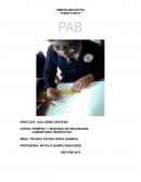 PLAN ANUAL COLEGIO PUERTO RICO