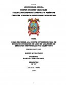 COMO RECURRIR A LA CORTE INTERAMERICANA DE DERECHOS HUMANOS EN CASO DE VIOLACIÓN DE DERECHOS INDIVIDUALES Y/O COLECTIVOS