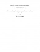 Ensayo, JEP, “¿una nueva herramienta para el conflicto?”
