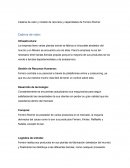 Cadena de valor y modelo de recursos y capacidades de Ferrero Rocher