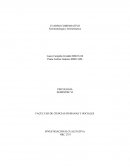 CUADRO COMPARATIVO Fenomenología y hermenéutica