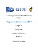 Empresas socialmente sustentables