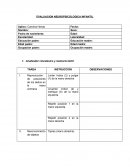 Evaluacion neuropsicologica infantil