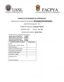Pia tic. La empresa Walmart