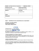 Evidencia Final. El emprendedor e inovacion