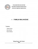 FAMILIA MALVACEAE