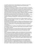 Materiales: fibra de vidrio