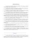 Caso de Giocattoli S.P.A