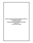 Tarea 8 administración de la prevención de riesgos