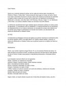 Caso Parctico Storck