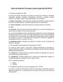 Guía de Derecho Procesal Laboral (parcial)