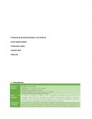 Propuesta de producción limpia a una empresa