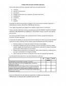 Trabajo sobre funciones mentales superiores