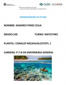 La contaminacion en mares