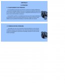 ¿Poseerán la Cúrcuma y la Papaya propiedades inhibidoras del vello?