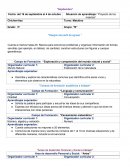 Proyecto de los insectos