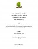 Descripción de los principales productos agrícolas, industriales, farmacéuticos, alimentos, cosméticos, plásticos, cuero, artesanías que se exportan en el Mundo y que generan recursos económicos al Ecuador