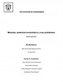 Patrimonio cultural de Veracruz