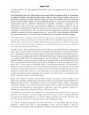 Analisis dinamico de RIPPLE