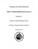 TRABAJO DE INVESTIGACION TEMA 3. HIDROCARBONOS (hidrocarburos)