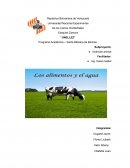 El agua y los alimentos en la alimentacion animal