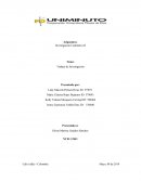 Trabajo de investigacion Bullying