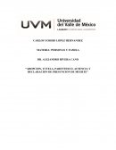 Adopcion, tutela, parentesco, ausencia y declaracion de presuncion de muerte