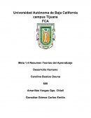Las 4 teorías del aprendizaje según sus perspectivas