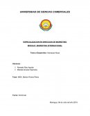 Marketing del consumidor: Hamacas Nicas