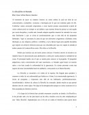 La disciplina rechazada