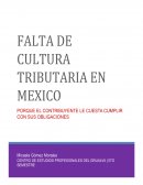 FALTA DE CULTURA TRIBUTARIA EN MEXICO