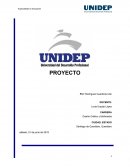 Ensayo teoria del color