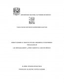 ENSAYO SOBRE EL OBJETIVO #10 DEL DESARROLLO SOSTENIBLE: “REDUCCIÓN DE LAS DESIGUALDADES” ¿CÓMO VAMOS? EL CASO DE MÉXICO