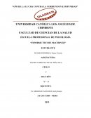 Informe test de Machover