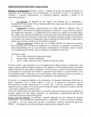 Resumen Primer Parcial Derecho de Integración UBA