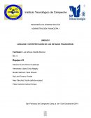 ANALISIS E INTERPRETACIÓN DE ESTADOS FINANCIEROS