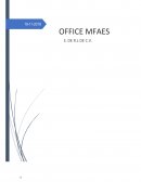 Manual de Organización empresa OFFICE MFAES S. DE R.L DE C.V
