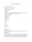 Influencia de la moda