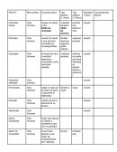 Derecho penal. DELITO Bien jurídico Conducta típica