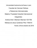 Marco Jurídico y Fundamentación